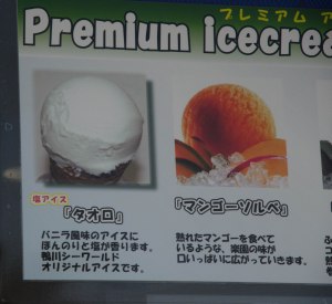 Sea Salt Ice Cream! A Kamogawa Seaworld Speciality. Tasty! 