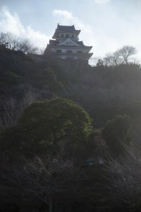 Tateyama Castle